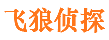 沐川市侦探调查公司